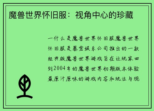 魔兽世界怀旧服：视角中心的珍藏